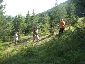 IMG_4763