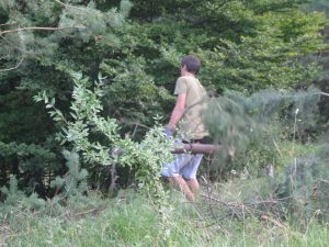 IMG_4778