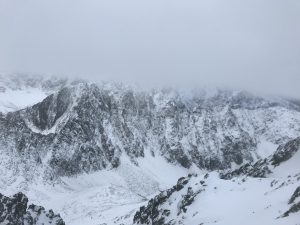 IMG-0222