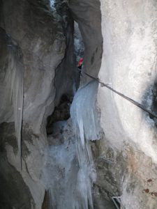 DSCF6715