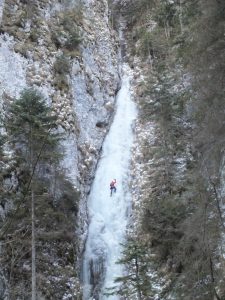 DSCF6821