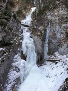 IMG_20200123_104458