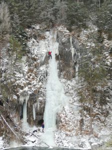 IMG_20200126_120243