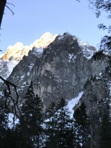 IMG_1494