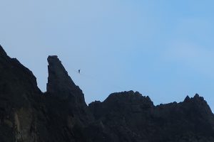IMG_2518