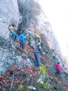 IMG-20210816-WA0002