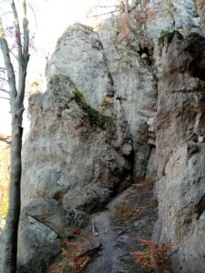 IMG-20211102-WA0002