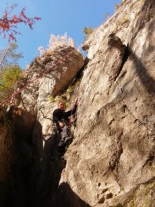 IMG-20211102-WA0006