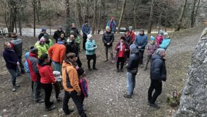 IMG-4762