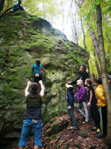 IMG-20221009-WA0015