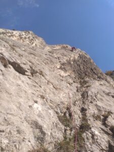 IMG_20221019_110644114