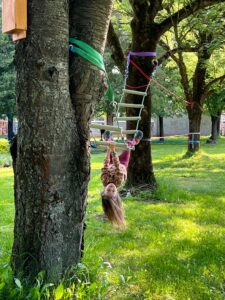 IMG_1149