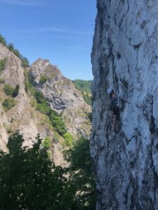 image11