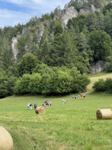 IMG_9626