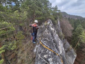 WhatsApp Image 2025-03-30 at 10.23.34