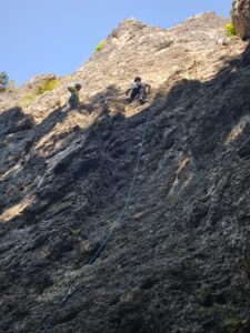 Obrázok WhatsApp 2025-11-17 o 21.16.35_3e2bc213