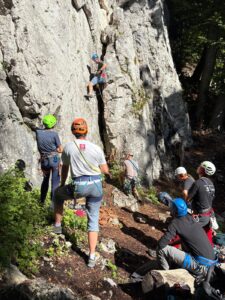 Obrázok WhatsApp 2025-11-17 o 21.17.13_8c556da0