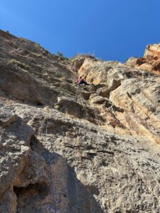 WhatsApp Image 2025-10-30 at 16.33.38