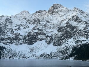 WhatsApp Image 2026-01-19 at 11.10.07 AM