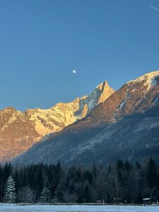 WhatsApp Image 2026-01-19 at 11.10.48 AM (1)