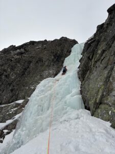 WhatsApp Image 2026-01-29 at 10.03.33 PM