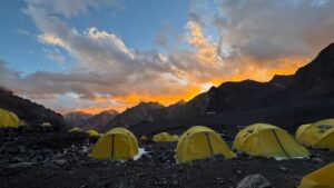 WhatsApp Image 2026-02-03 at 23.38.10