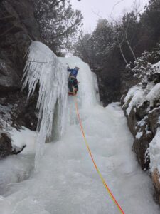 WhatsApp Image 2026-02-09 at 10.31.16 AM (4)