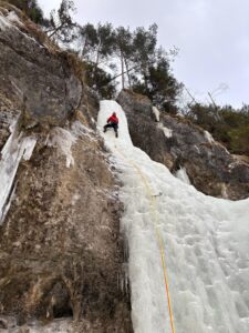 WhatsApp Image 2026-02-09 at 10.31.17 AM