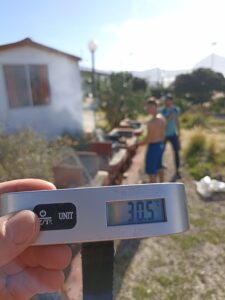 1773347840256 - Copy