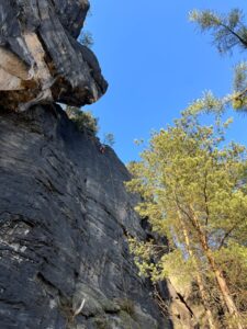 WhatsApp Image 2026-04-18 at 7.58.28 PM (1)