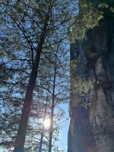 WhatsApp Image 2026-04-18 at 7.58.28 PM (2)