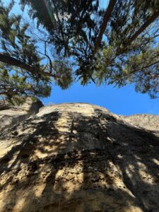 WhatsApp Image 2026-04-18 at 7.58.28 PM (3)